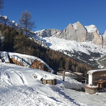 فندق بوتسا دي فاسّافي  Rifugio Negritella المظهر الخارجي الصورة