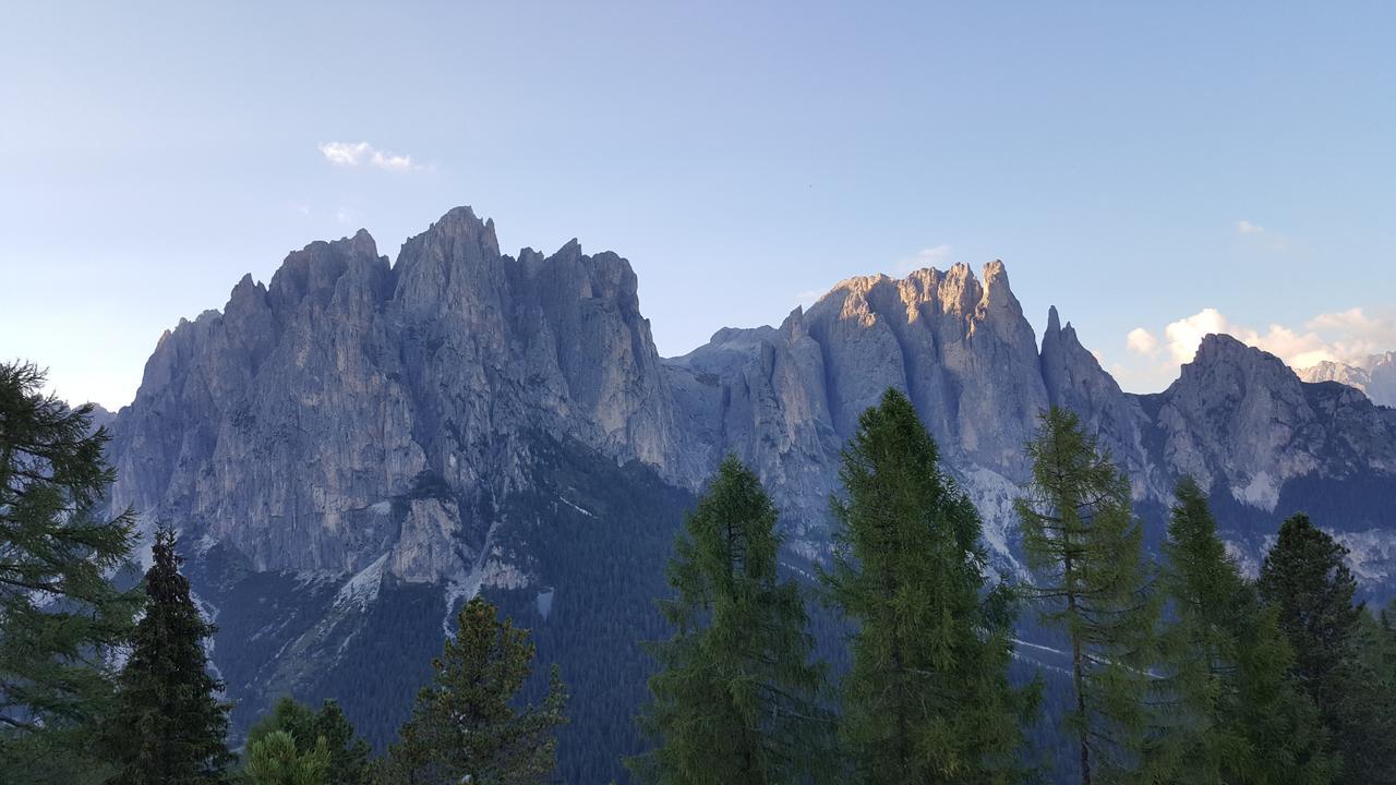 فندق بوتسا دي فاسّافي  Rifugio Negritella المظهر الخارجي الصورة