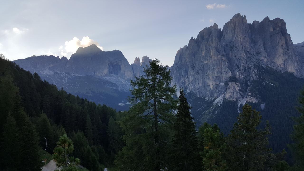 فندق بوتسا دي فاسّافي  Rifugio Negritella المظهر الخارجي الصورة